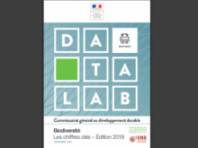 couverture Datalab - chiffres clés biodiversité - 2018